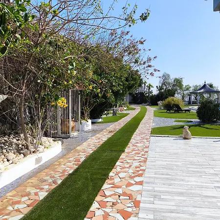 3 Avitaciones Lägenhet Costa Adeje (Tenerife)